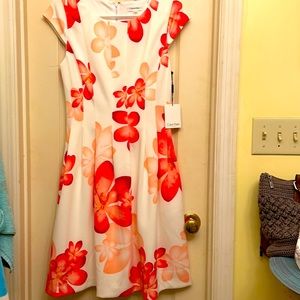 Women’s Calvin Klein Floral Pink and White Dress